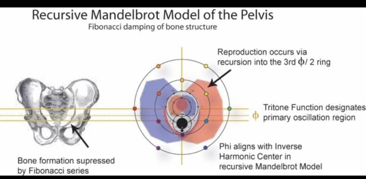 WhatsApp Image 2025 06 27 at 10.55.36